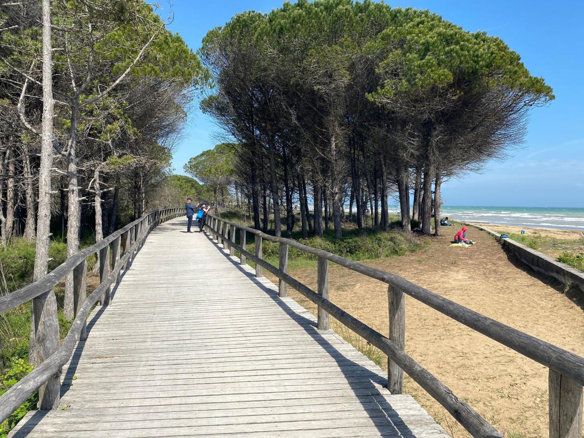 Appartamento Beautiful Flat In With Pool - Beahost Bibione